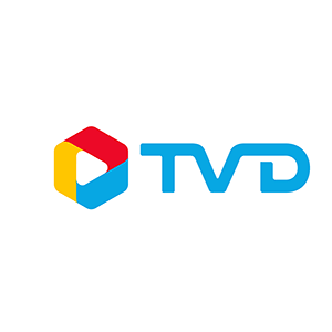 logo บริษัท ทีวีดี โฮลดิ้งส์ จำกัด (มหาชน)