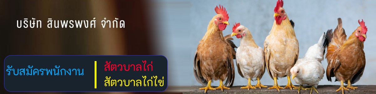 รับสมัครงานที่ บริษัท-สินพรพงศ์-จำกัด