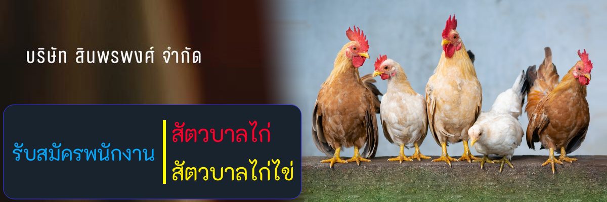 รับสมัครงาน บริษัท-สินพรพงศ์-จำกัด