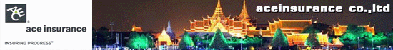 บริษัท เอซ ไอเอ็นเอ โอเวอร์ซีส์ อินชัวรันซ์ จำกัด