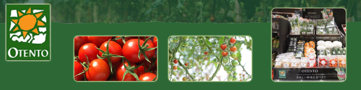 งาน ช่วยผู้จัดการฝ่ายขายและการตลาด หรือ พนักงานฝ่ายขายและการตลาด บริษัท โอเทนโต (ประเทศไทย) จำกัด