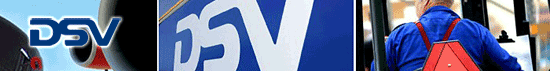 DSV Air & Sea Ltd.