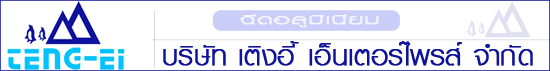 บริษัท เติงอี้ เอ็นเตอร์ไพรส์ จำกัด