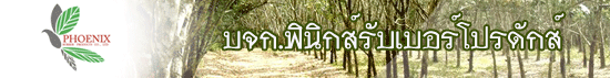 บจก.ฟินิกส์รับเบอร์โปรดักส์