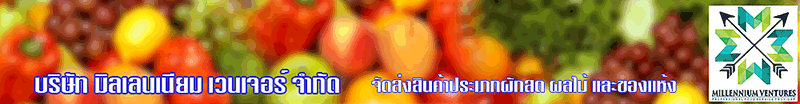 บริษัท มิลเลนเนียม เวนเจอร์ จำกัด