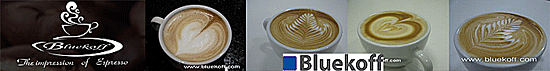 Bluekoff Co.,Ltd.