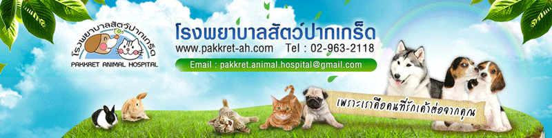 งาน พนักงานฝึกสัตว์ โรงพยาบาลสัตว์ปากเกร็ด