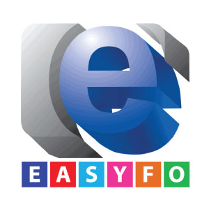 logo EASYFO Co., Ltd.