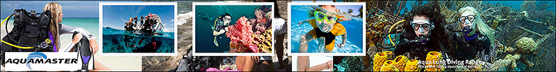 Aqua Master (Thailand) Co., Ltd.