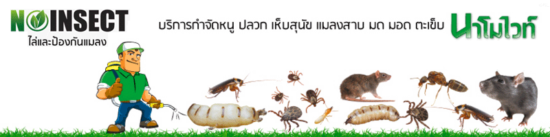 รับสมัครงาน NO INSECT CO., Ltd.