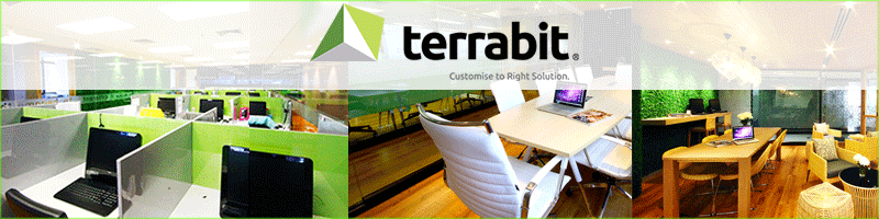 Terrabit Company Limited (บริษัท เทอราบิท จำกัด)
