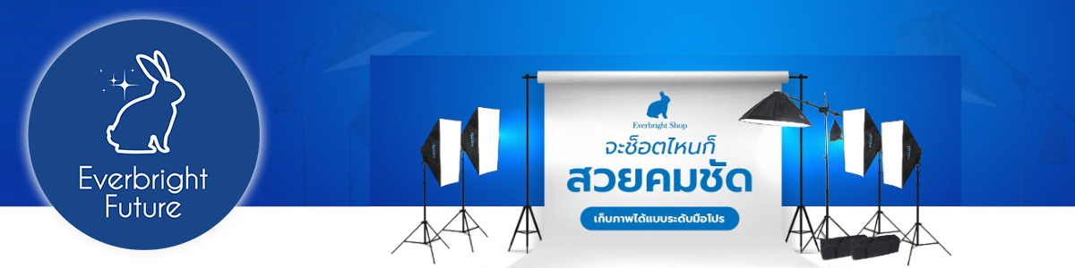 บริษัท เอเวอร์ไบรท์ ฟิวเจอร์ จำกัด