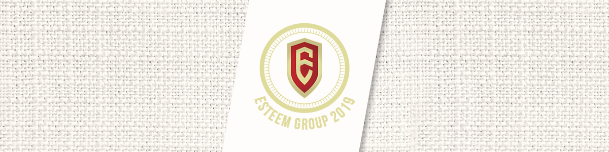 บริษัท เอสทีม กรุ๊ป 2019 จำกัด