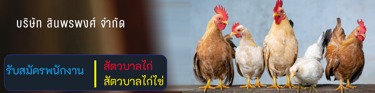 งาน สัตวบาลไก่ บริษัท สินพรพงศ์ จำกัด
