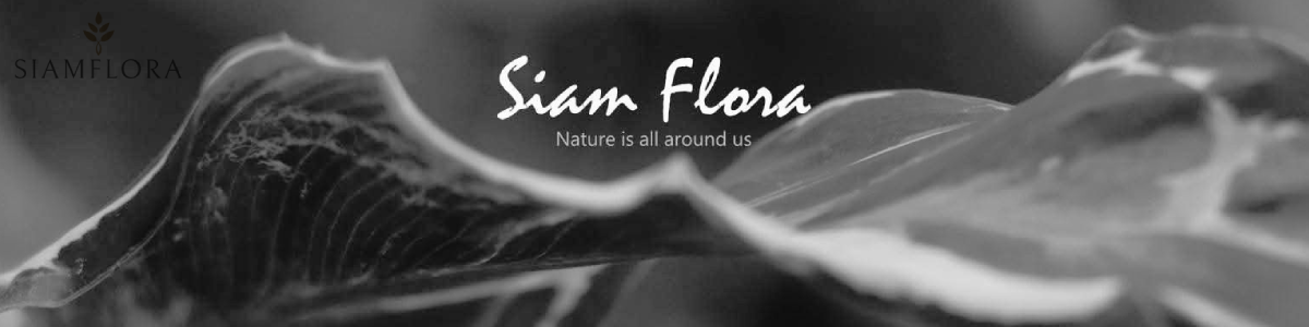 บริษัท สยาม ฟลอร่า จำกัด