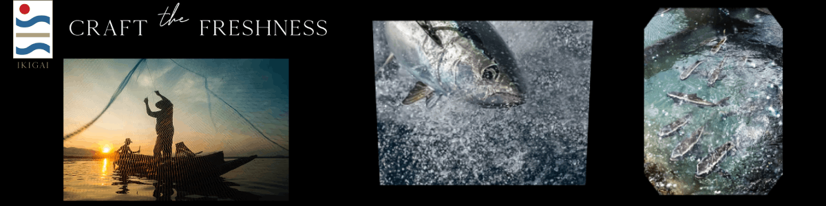 งาน พนักงานจัดซื้อ (Purchasing staff) บริษัท อิคิไกซีฟู๊ด จำกัด