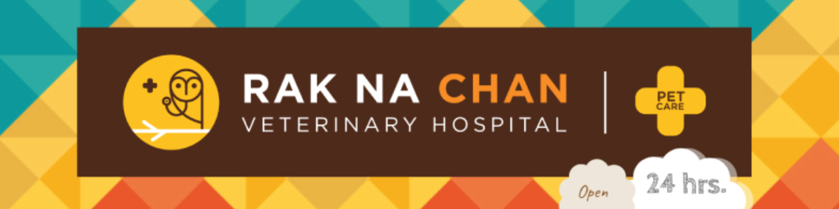 งาน เจ้าหน้าที่ต้อนรับและดูแลการตลาดออนไลน์ โรงพยาบาลสัตว์รักษ์ ณ จันทน์