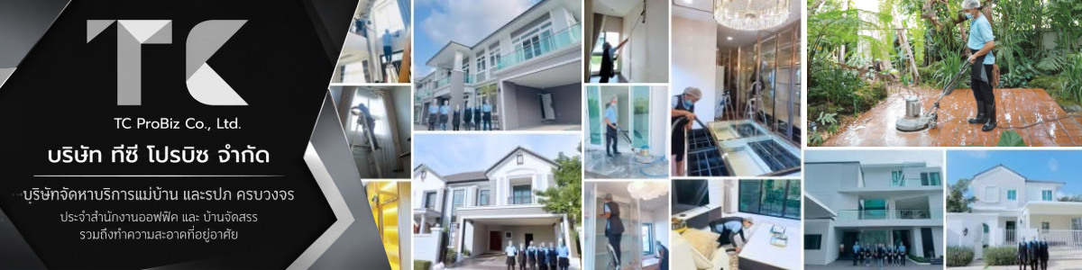 บริษัท ทีซี โปรบิซ จำกัด