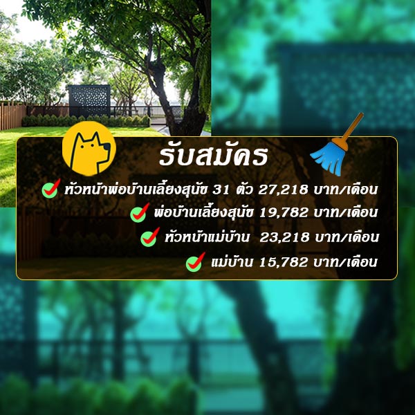 รับสมัครงาน 