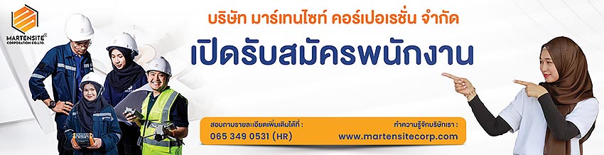 รายละเอียด บริษัท มาร์เทนไซท์ คอร์เปอเรชั่น จำกัด