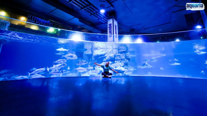 รายละเอียด Aquawalk (Thailand) Co.,Ltd (HeadOffice)